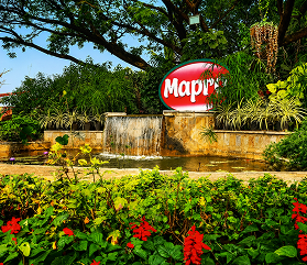 Mapro Garden